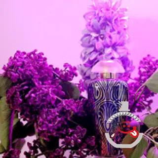 Liberty The Merchant of Venice