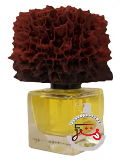 مونلس فرونما پرفیومز | måneløs phronema perfumes