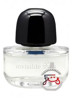 اینویزیبل من کیلسا | invisible man kilesa