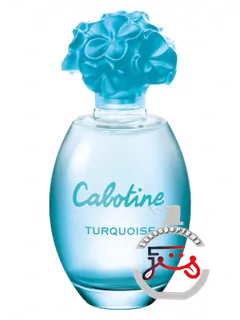 کابوتین تورکواز گرس | cabotine turquoise grès
