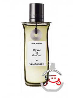 فلای می تو د اوود میوزیکولوژی | fly me to the oud musicology