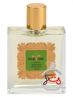 بازیلیکو سیسیلیانو نارسیس تائورمینا | basilico siciliano narcisse taormina