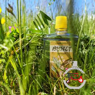 Летний букет - Summer bouquet Алые Паруса (Alye Parusa)