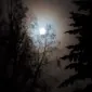 AlaskanAngel