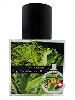 اسکارلت باهفامزن فرگرنس | scarlet bahfamsn fragrance
