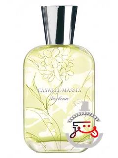 وربنا کسول مسی | verbena caswell massey
