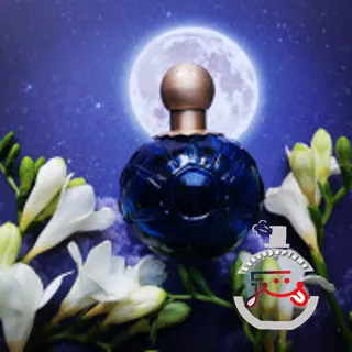 Sun Moon Stars Karl Lagerfeld