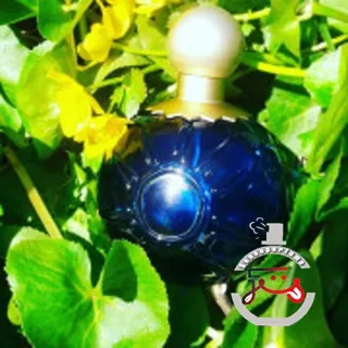 Sun Moon Stars Karl Lagerfeld