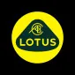 stavros_mlls