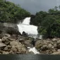 جَوّادهُ