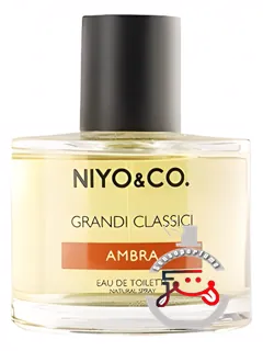 آمبرا نیو اند کو | ambra niyo&co