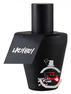لیدی‌بوی لاش | ladyboy lush