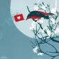دی یک‌سه‌سه هفت