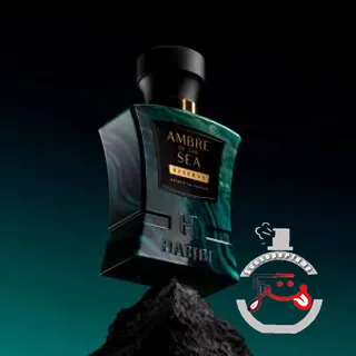 Ambre Of The Sea Habibi NY