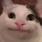 oatmealcookie