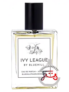 آیوی لیگ بلوهیل | ivy league bluehill