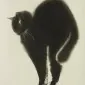 s6nti
