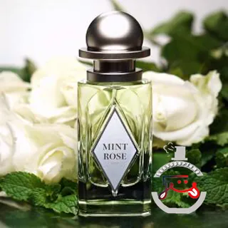 Mint Rose OrdioLab