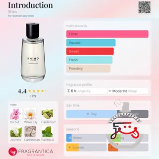 Introduction Shiro