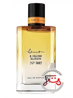 لیمون اند اورنج بلاسام نمبر ۱۸۰۷ سی.او.بیگلو | lemon and orange blossom no. 1807 c.o.bigelow