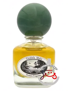 گوالالا مالا پیکتورا فراگرانس | gualala mala pictura fragrans