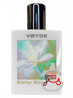 استلار بلوم لب‌هاوس | stellar bloom labhouse