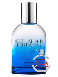 نورت آتلانتیک رایت ویل سنکچوآری | north atlantic right whale sanctuary