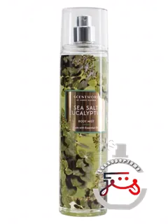 سی سالت یوکالیپتوس سنت‌ورکس بای اسلتکین اند کو. | sea salt eucalyptus scentworx by slatkin + co.