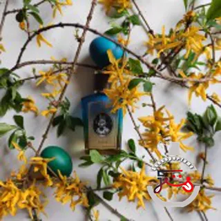 Rabbit Zoologist Perfumes