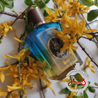 Rabbit Zoologist Perfumes