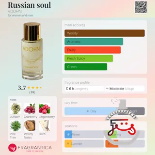 Russian soul VDOHNI
