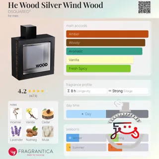 He Wood Silver Wind Wood DSQUARED²