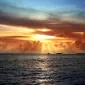 گرگ یک هزار و نهصد و شصت و پنج