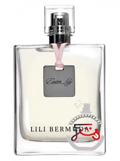 ایستر لیلی لیلی برمودا | easter lily lili bermuda