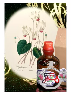 سیکلامن فراگریفرت پرفیومر | cyclamen fragrifert parfumeur