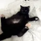 Nataliajj