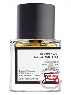 آکورد شماره یک: ناگارموتا ری‌ای‌ار اسنتس | accord no. 01: nagarmotha raer scents