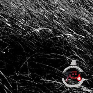 Accord No. 01: Nagarmotha RAER Scents