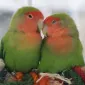 آنلی‌ین یک‌هزار و نهصد و هشتاد و هفت