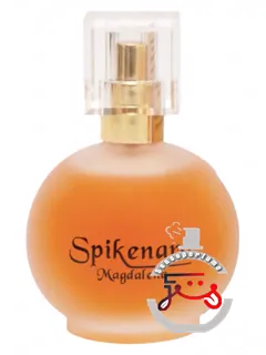 اسپایک‌نارد مگدالنا سه آرچز یواس‌ای | spikenard magdalena 3 arches usa