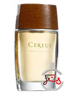 سرئوس نمبر هفت، سرئوس | cereus no.7 cereus