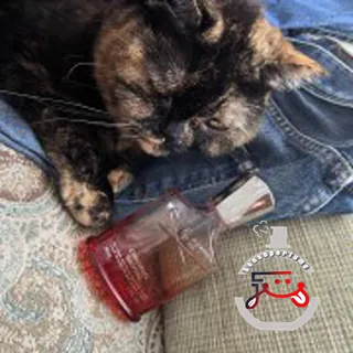 Original Santal Creed