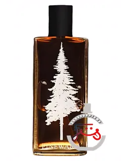 لایم کولا پاین‌وارد پرفیومز | lime cola pineward perfumes