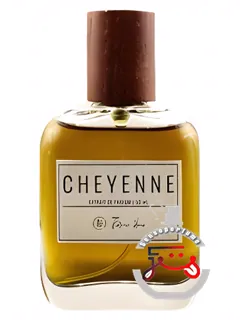 شاین پارفومز کارمیک هیوز | cheyenne parfums karmic hues