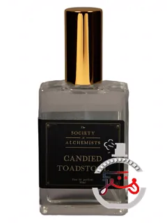 کندید تادستول د سوسایتی آف آلکمیستز | candied toadstool the society of alchemists
