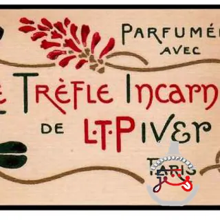 Trèfle Incarnat L.T. Piver