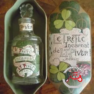 Trèfle Incarnat L.T. Piver