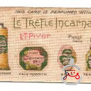 Trèfle Incarnat L.T. Piver