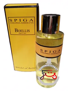 اسپیگا بوئلیس | spiga boellis