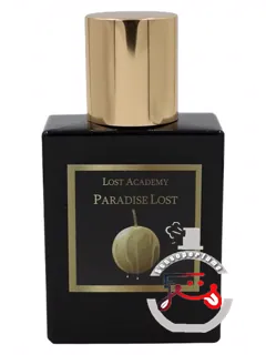 پرادایز لاست لاست آکادمی | paradise lost lost academy